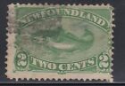 Newfoundland  Sg 64, Re-Issue 2C Green Used.