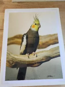 "Stormy"" Nymphendruck 1/50 in Kunststoff" - Bild 1 von 5