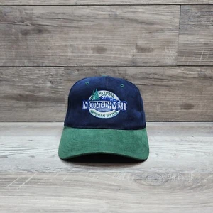 Natural Mountain-Mist Artesian Water Cap Hat Adult Adjustable StrapBack - Picture 1 of 9