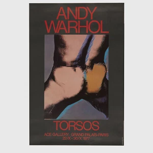 Andy Warhol Rare Original 1977 Torsos (Paris) X-Large 59" x 39" Poster - Picture 1 of 6