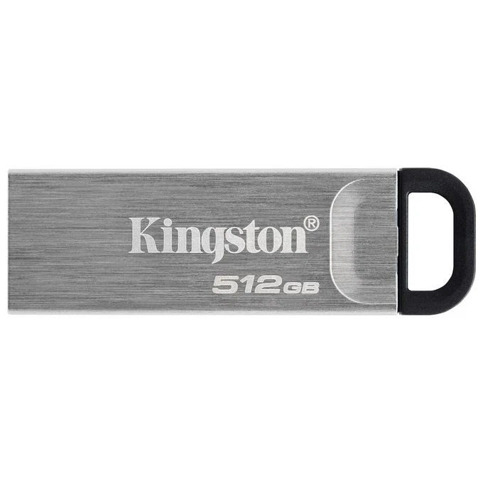 Memoria USB Kingston DTKN/512GB Argentato 512 GB