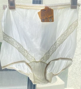 Vintage Oma Höschen 100 % Nylon Trikot Größe 8 Cherrybelle Union Hergestellt in den USA - Bild 1 von 9