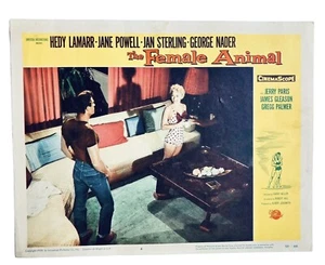 The Female Animal 1958 Lobby Card Movie Theater Decor Jane Powell Hedy Lamarr - Picture 1 of 3