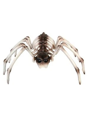 Spider Skeleton Halloween Fancy Dress Party Decorarion - Image 1 of 2