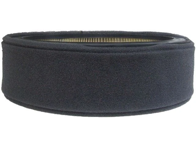 Filtro de aire AC Delco para Oldsmobile Custom Cruiser 1978-1985 78XZXH Foto 1 de 1