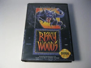 Risky Woods Sega Genesis komplett - Bild 1 von 2