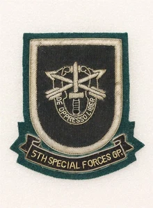 Army patch 6844: - 5th Special Forces Group blazer patch - bullion - Picture 1 of 2