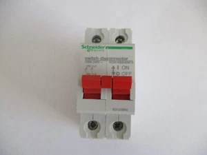 SEZIONATORE INTERRUTTORE PRINCIPALE DOPPIO POLO SCHNEIDER ELECTRIC 125 AMP KQ125SW2 - Foto 1 di 1
