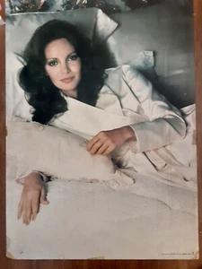 Póster vintage original 1977 Jaclyn Smith Pinup 1977 TV Los Ángeles de Charlie Mancave - Imagen 1 de 6