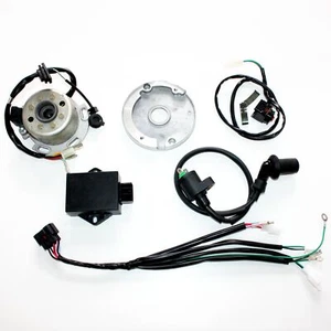 Arnés de cableado estator Magneto telar LIFAN W150 150cc PIT PRO bicicleta de tierra - Imagen 1 de 11