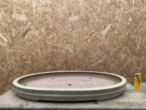 Bonsai Pot Tokoname Reiho Glazed Extra Large Oval Width 50 cm / 19.69 in.