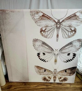 New Large Butterfly Moth Beige Tones Canvas Artwork Jewels - Picture 1 of 9