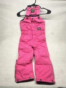 C.E. Schmidt for Kids Insulated  Overalls Pink Workwear Farm Barn Sz 4T - Picture 1 of 6