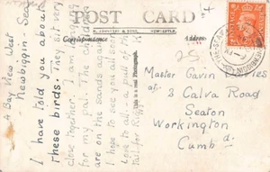 FAMILIENGESCHICHTE - POSTKARTE - DAVIES - WORKINGTON SEATON CALVA ROAD - Bild 1 von 2