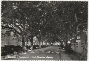 FIVIZZANO - LUNIGIANA - MASSA - VIALE PRINCIPE AMEDEO - VIAGG. -56963- - Picture 1 of 1