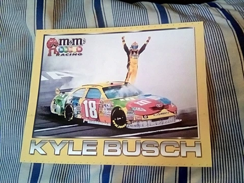 2010 KYLE BUSCH #18 M&M NASCAR POSTCARD Cover