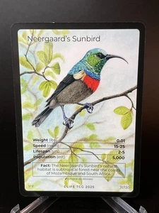 Neergaard's Sunbird Full Art #31/130 LIFE TCG Vögel - nur 500 gedruckt - Bild 1 von 6