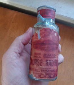 1880s BLUE HILL BRAND HORSE RADISH BOSTON LABELED HAND BLOWN AQUA FOOD BOTTLE - Picture 1 of 6