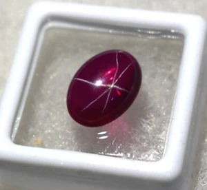 Natural Beautiful 7.80 Ct Rare Star Ruby Certified Cabochon Gemstone - Picture 1 of 9