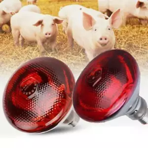 INFRA RED HEAT BULB LAMP 100-275W Poultry Chick Brooder Lambs Livestock& - Picture 1 of 22