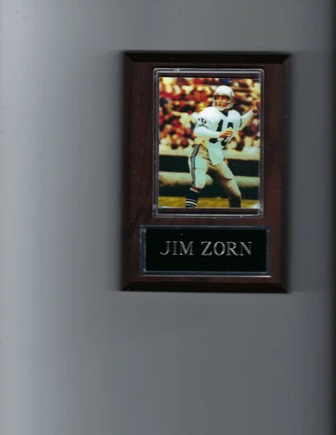 JIM ZORN PLAQUE SEATTLE SEAHAWKS FOOTBALL NFL Cover