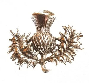 Miracle Celtic Scottish Thistle Pin Brooch Pin - Picture 1 of 5