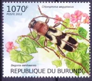 Chlorophorus aegyptiacus, Long Horn Beetle, Insects, Burundi 2012 MNH  - Picture 1 of 1