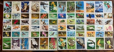 Lote de estampillas de la Federación Nacional de Vida Silvestre ~ 1000+ Cenicientas ~ 32+ hojas + extras Foto 1 de 4