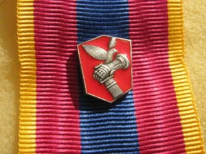 Agrafe Insigne FAS Anthracite pour citation Médaille Défense Nationale - Picture 1 of 1
