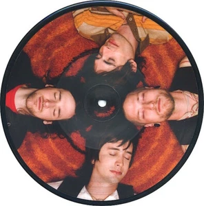 All American Rejects PICTURE vinyl 7" Gives You Hell b/w On The Floor-Demo PROMO - Picture 1 of 2