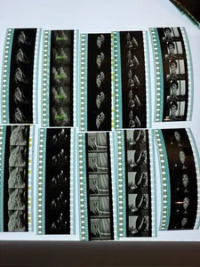 Lote de celdas de tira de película Disney Frankenweenie 35 mm 10 RARAS A - Imagen 1 de 1
