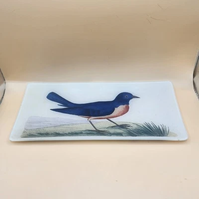 Bandeja de vidrio decorativa vintage escena natural pájaro azul Foto 1 de 4