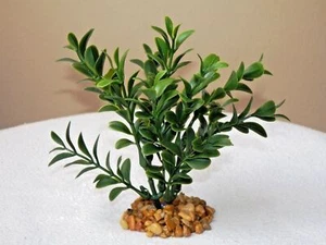 5" MINI Salbeigrün Buchsbaum Kunststoff Pflanze, Steinsockel - Bild 1 von 3