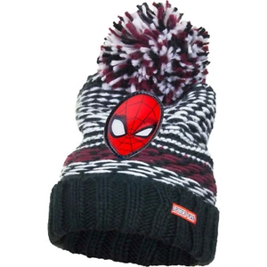 Spiderman Knitted Bobble Hat with Spiderman 3D Logo Purple / Black - Picture 1 of 1