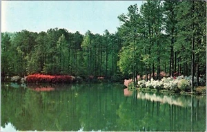 Postal de Whippoorwill Lake Scenic Drive Callaway Gardens Georgia sin publicar - Imagen 1 de 2