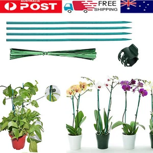 Orchid Clips Plastic Garden Plant Stake Durable and Reliable Plant Stake for - Picture 1 of 14