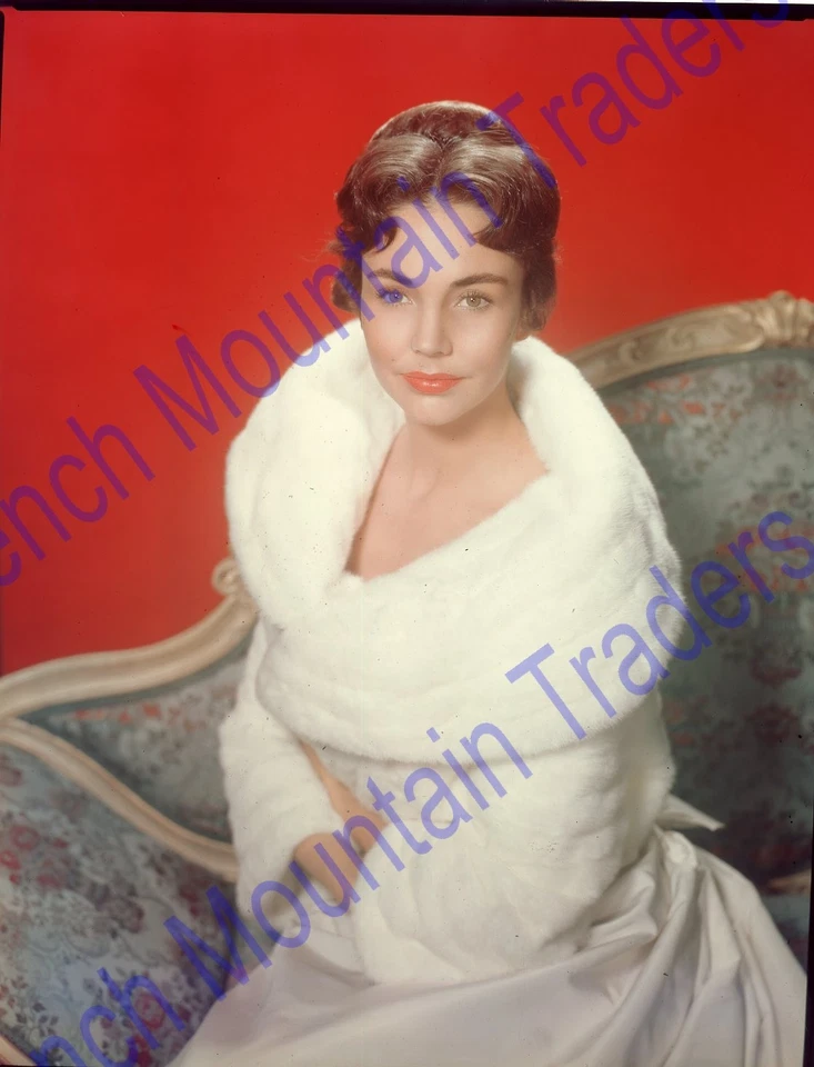 Jennifer Jones 8x10" Foto Transparencia, Bonito Color 4867 Foto 1 de 1