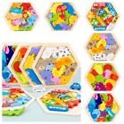 Cognitive 3D Dinosaur Jigsaw Hexagon Wooden Puzzles  Kids/Children/Toddler