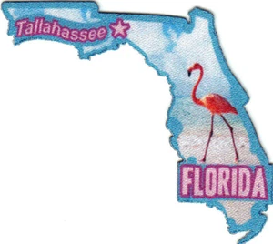 TALLAHASSEE FLORIDA State Shape Capitol City Iron On Printed Patch - Picture 1 of 1