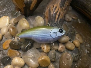 Custom painted lipless crankbait bass - Picture 1 of 4