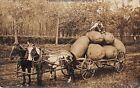 Martin Exaggerated Real Photo Pc, Large Colorado Potatoes On Wagon Used 1909