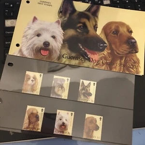 Guernsey Presentation Pack Mint 2001 GUERNSEY DOG CLUB 100th ANNIVERSARY MNH - Picture 1 of 4