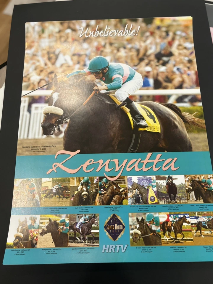 ¡Increíble! Póster Zenyatta, Santa Anita Park Breeder’s Cup Classic 11/07/09. Foto 1 de 1