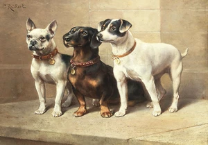 Antico Poster Trio di Cani - Compagno Pet Wall Art - 16x12/20x16/24x18/36x24 - Foto 1 di 11