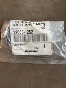 Valvola di scarico Kawasaki 12005-1262 BN125 - Foto 1 di 2