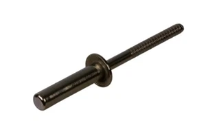 APEX RIVET - ALL STAINLESS STEEL SEALED 4.8X24.5MM TSTST-6-10-HP 250 PACK - Picture 1 of 2