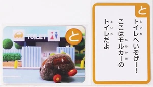 Pui Pui Molcar Karuta Karte Vol.1-20 Tier Meerschweinchen japanisches Zeichen - Bild 1 von 10