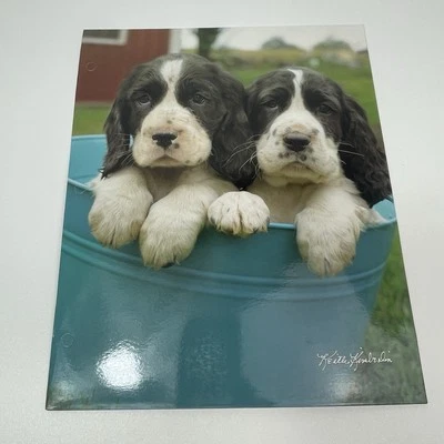 Cartera de carpetas sin perforar de cachorros Springer Spaniel inglés Keith Kimberlain Foto 1 de 4