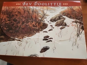The Art Of Bev Doolittle-20 Blank Cards & 22 Envelopes - 10 Different Scenes - Picture 1 of 15
