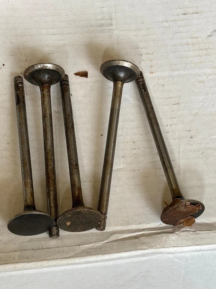 Válvulas de escape Ford 302 V8 McQuay Norris V-1135 NORS x5 Foto 1 de 4